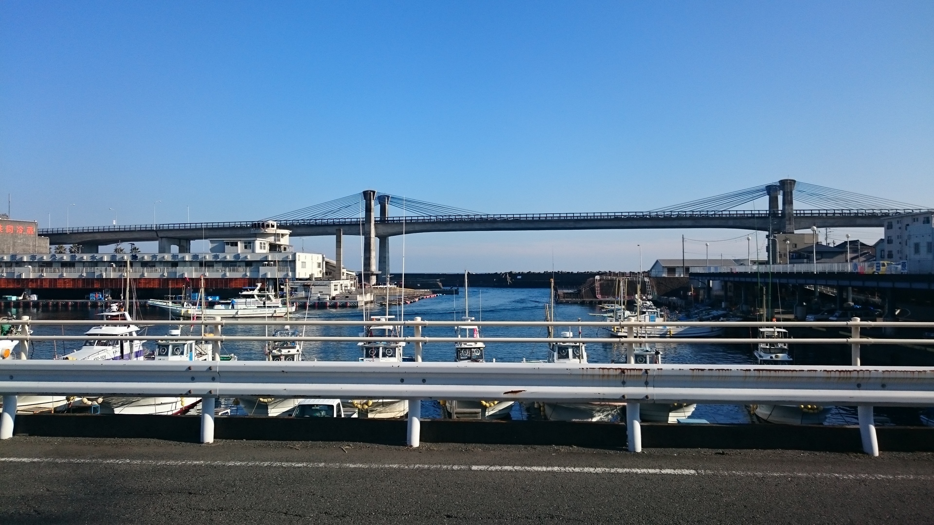 2 8 早川港でチビメバル 自転車乗りの釣り日記